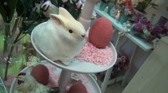 Vieme, aká farba bude tento rok dominovať Veľkej noci