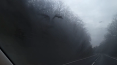 Bol to úkaz z druhého sveta? Mirovi sa pri Krupine zjavila neznáma tvár