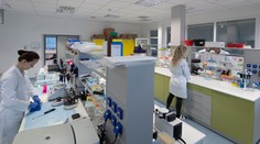 Vedci zistili, ktoré pohlavie viac trápi dlhý covid