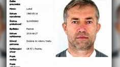 Ako sa podarilo chytiť hľadaného siskára Kosíka? O slobodu ho pripravila vizitka