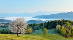 Chladným dňom odzvonilo. Posledný aprílový víkend bude s nádychom leta
