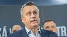 Danko: Ak sa koalícia nedohodne na kandidátovi na prezidenta, SNS postaví svojho