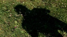 Inšpekcia zistila, že policajti svedka "cez palubu" nehodili