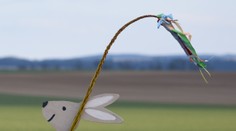 Predpoveď počasia na veľkonočné sviatky: Čaká nás výrazné ochladenie. Niektorí šibači musia rátať aj so snehom