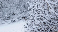 El Niño sa vracia. Ovplyvní počasie na niekoľko mesiacov, meteorológovia prezradili ako