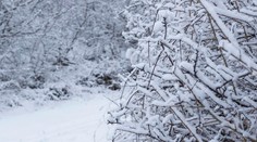 Sneh a mráz: Meteorologička prezradila, kedy k nám dorazí ďalšie výrazné ochladenie