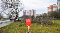 Začali stavať dva dôležité mosty na novej električkovej trati v Petržalke