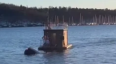 VIDEO: Tesla skončila v nórskom fjorde, posádke prišla na pomoc plávajúca sauna