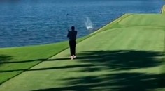 VIDEO: Nie je birdie, ako birdie. Golfista nechtiac zostrelil letiacu kačicu