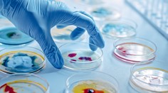 Vedci zistili, že antibiotiká sa dajú nahradiť látkou z brokolice. Tá bola účinnejšia