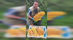 Václav našiel v lese 11 kilovú hubu. Je mimoriadne cenená