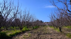 Európu čaká teplotný šok. Meteorologická jar príde na Slovensko o čosi skôr