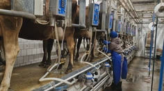 Farmári prijali najprísnejšie hygienické opatrenia. Stojí ich to stovky eur navyše, štát im zatiaľ neprispel