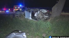 Tragická nehoda pri Michalovciach: Šofér neprežil, spolujazdkyňa sa vážne zranila