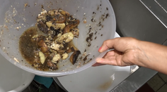 V detskom  indiánskom tábore to zobrali skutočne nadivoko: Pleseň, špina a hniloba