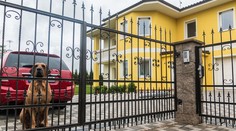 Ak ste nepriznali daň za psa alebo nehnuteľnosť, pokutu nedostanete