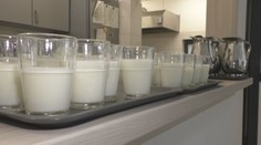 Mlieko niekto miluje, inému nevyhovuje. Zisťovali sme, ako je to s intoleranciou na laktózu