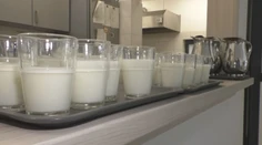 Mlieko niekto miluje, inému nevyhovuje. Zisťovali sme, ako je to s intoleranciou na laktózu