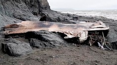 Príčina havárie lietadla na Kamčatke je známa. Jedna chyba stála život 28 ľudí