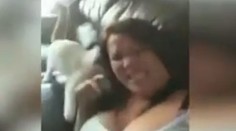 Žena ponúka na videu mačku. Zrejme ju nikto nebude chcieť ani zadarmo