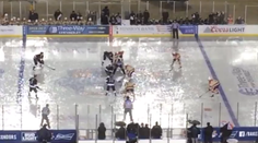 VIDEO: Ako vyzerá hokej na vode? Odpoveď na túto otázku dala AHL