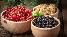 Zreje ovocie, ktoré prospieva imunite. Vyskúšajte dezert, ktorý ste v detstve milovali