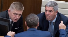 PRIESKUM Focus: Smer padol pod 20 percent, Most-Híd je mimo parlamentu