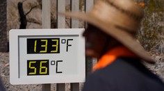 Počas horúčav v Kanade sa „uvarila“ viac ako miliarda morských živočíchov