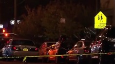 Tragédia na Halloween! Vodič narazil do sprievodu, traja mŕtvi