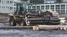 Projekt, ktorý môže pomôcť obciam ušetriť náklady na vykurovanie, sa nepáči vlastníkom lesov