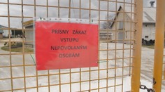 Začali s likvidáciou usmrteného dobytka: Kafiléria ide na plné obrátky