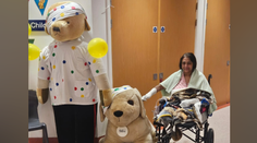 Olizol ju pes, o 24 hodín bola v kóme. Žena prišla o ruky aj nohy, lekári sú z príčiny zdesení