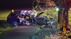 Vodič sa snažil vyhnúť zvieraťu a narazil do stromu. O život prišiel 20-ročný spolujazdec