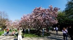 Slováci sa dočkali. Teploty budú atakovať 20 °C, experti varujú pred možným zvratom