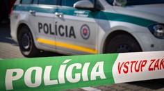 Policajnú raziu v bratislavskom klube rieši aj primátor. Hovorí o praktikách z minulosti, polícia reaguje