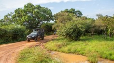 Hrozivá smrť Slováka na Srí Lanke. Život mu vzal rútiaci sa džíp