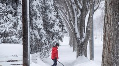 Ľadová búrka v Kanade, bez elektriny zostalo vyše 300-tisíc ľudí