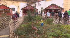 Boli sme sa pozrieť na vianočných trhoch v susednom Rakúsku