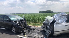 Tragédia pri Galante. Vodičovi vbehla do cesty srna, následne sa čelne zrazil s druhým autom