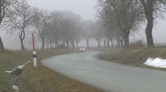 Orechovú alej musia vypíliť. Až takmer 300 stromov totiž prekáža rekonštrukcii cesty pri Bardejove