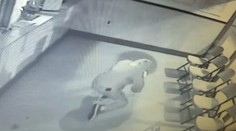 Zlodej babrák pobavil aj policajtov: Chcel vykradnúť reštauráciu, skončil v bezvedomí