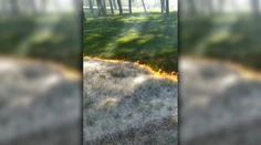 Nezvyčajný "požiar" v španielskom parku. Stromy, tráva aj lavičky zostali nedotknuté