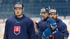 Slovan získal z Plzne robustného útočníka Hrnku