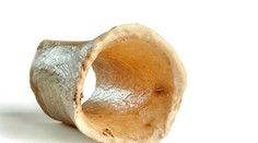 Neandertálci na Slovensku si radi pochutili na špiku z kostí