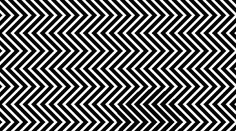 Hľadanie pandy je späť! Tentoraz sa nikde nezašila