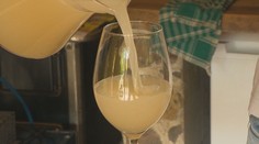 Čas burčiaku je tu: Ponúkame zopár rád, ako si viete overiť jeho kvalitu