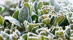 Predpoveď počasia: Traja zmrznutí by nás už nemali ohroziť