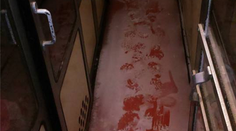 Aj takto vyzerajú slovenské vlaky: Cestujeme zamrznutými vagónmi