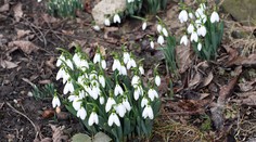 Jar začína klopať na dvere, tešte sa na nadpriemerné teploty