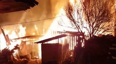 Farmár na Hornej Nitre prišiel o živobytie, zhoreli mu tri desiatky zvierat